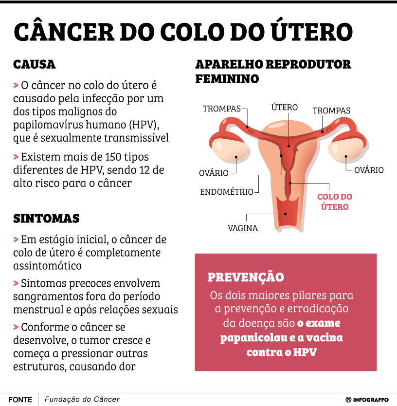 Infográfico do Dia