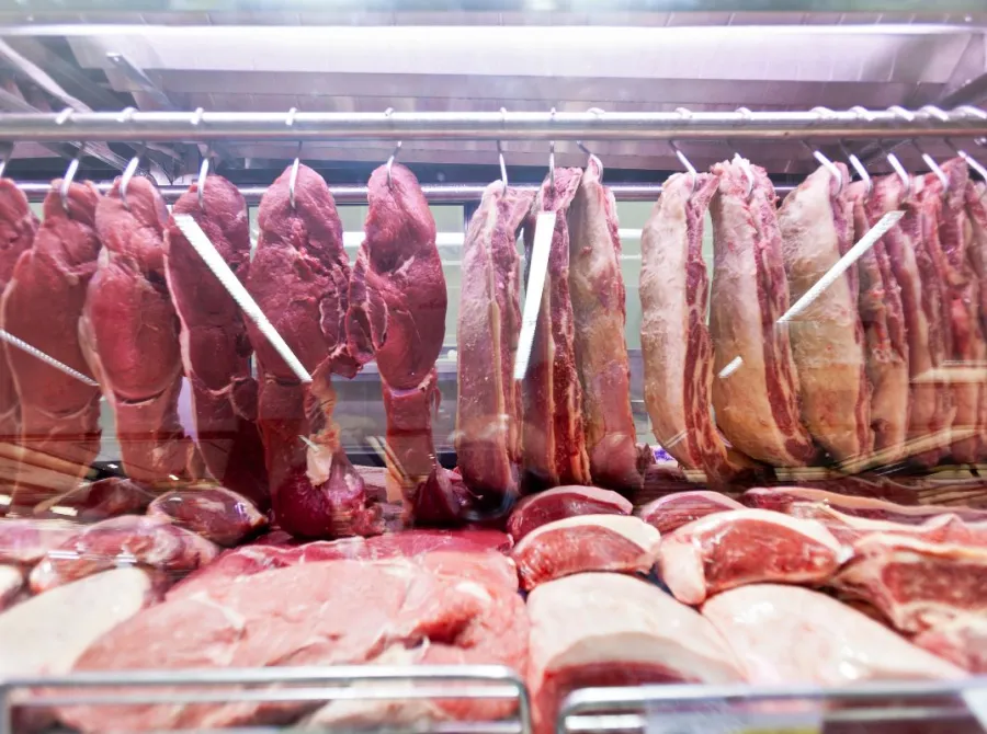 Veto europeu à carne brasileira provoca reação do mercado e agro busca alternativas