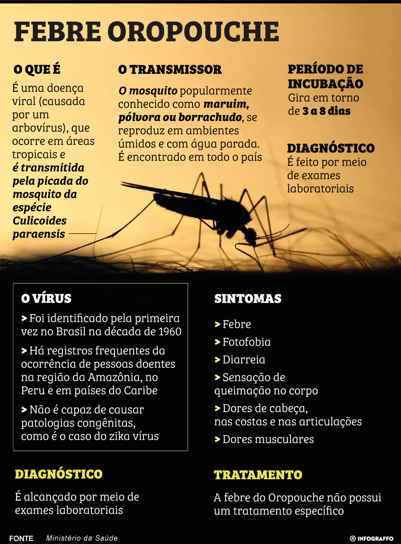 Infográfico do Dia