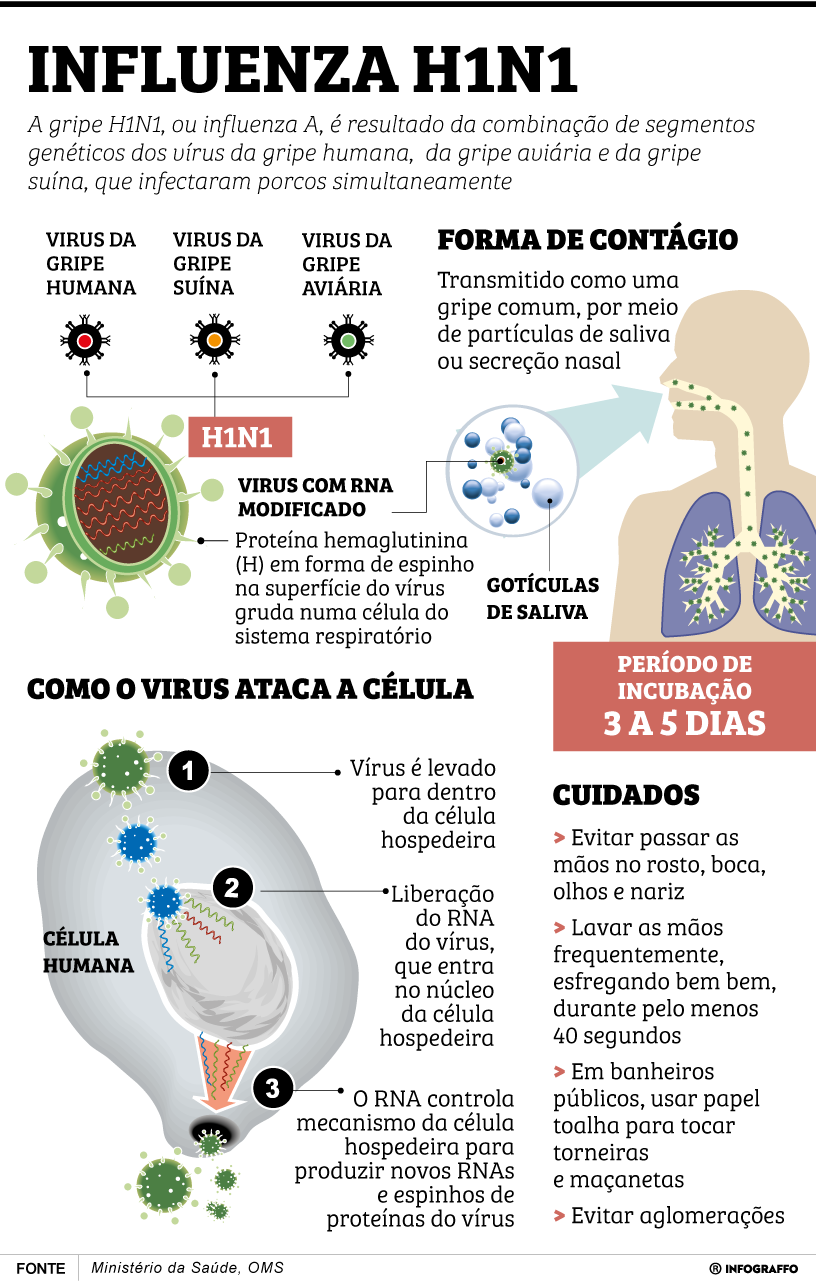 Infográfico do Dia