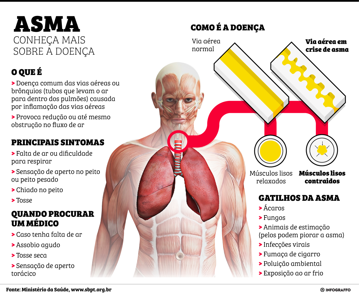 Infográfico do Dia