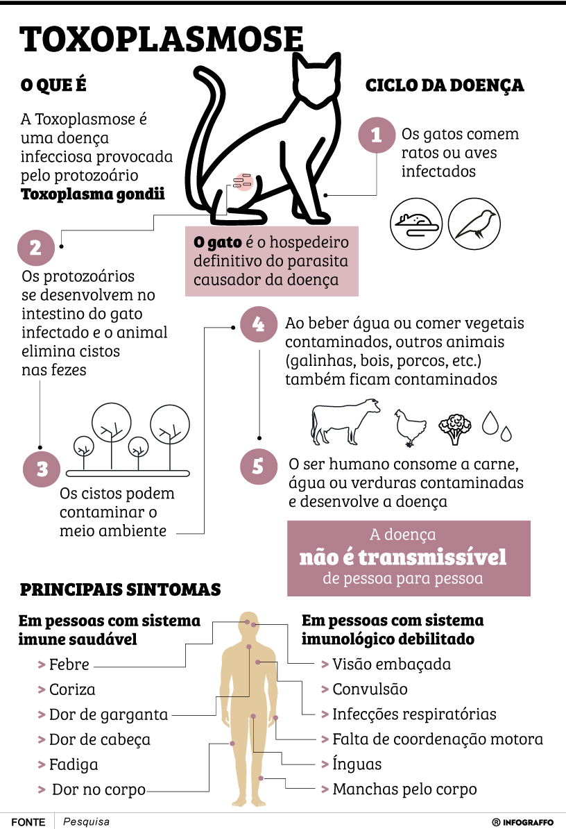 Infográfico do Dia