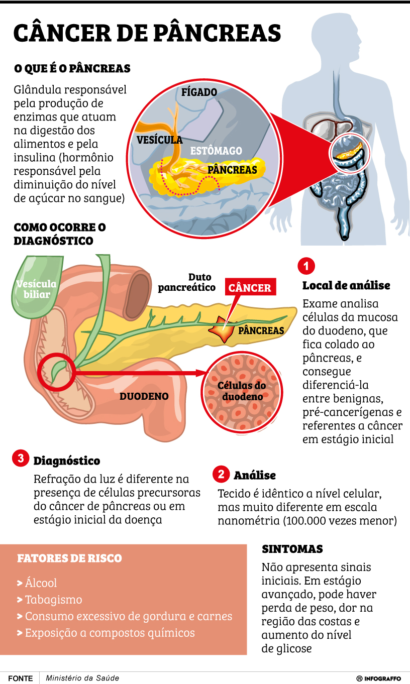 Infográfico do Dia