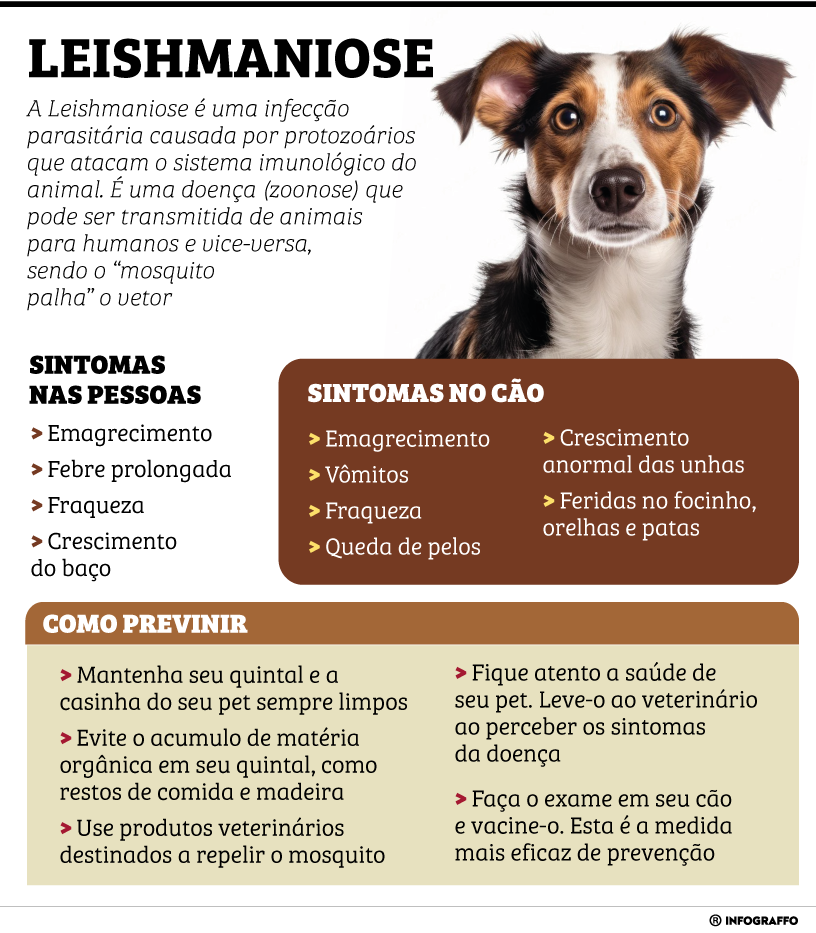 Infográfico do Dia