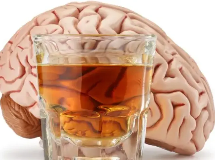 Os efeitos do álcool no corpo: como o consumo afeta cérebro, estômago e metabolismo