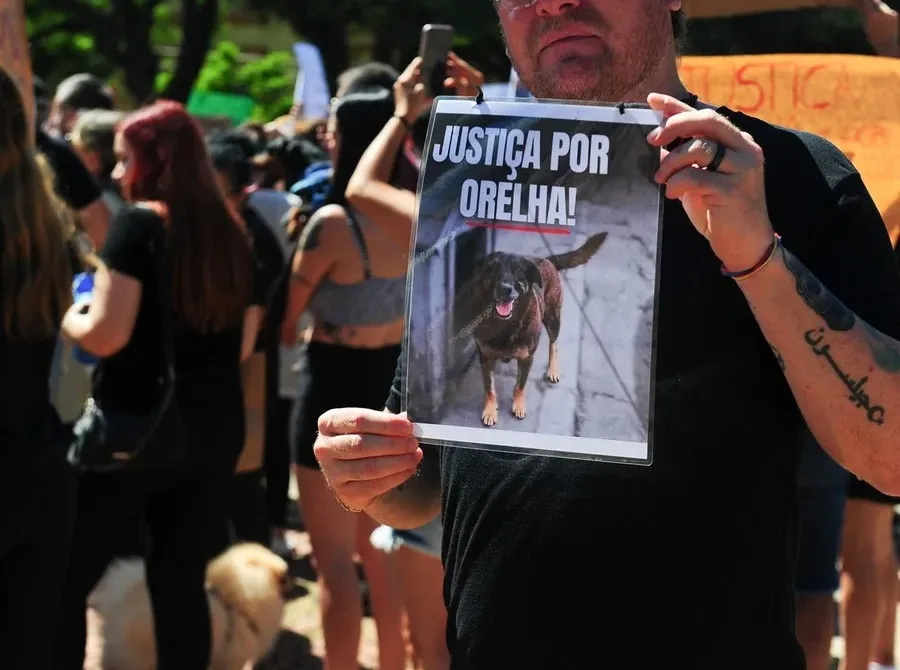 Polícia Civil de SC aponta adolescente como assassino do cão Orelha