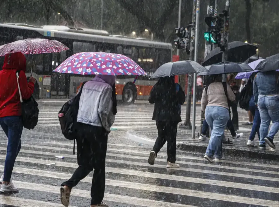 Temperatura despenca em SP neste domingo; veja até quando vai a frente fria
