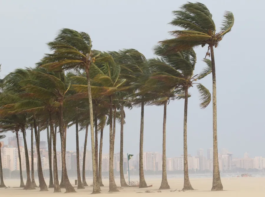 SP tem alerta para chuva e ventos de até 100 km/h; balsa e porto de Santos paralisam operação